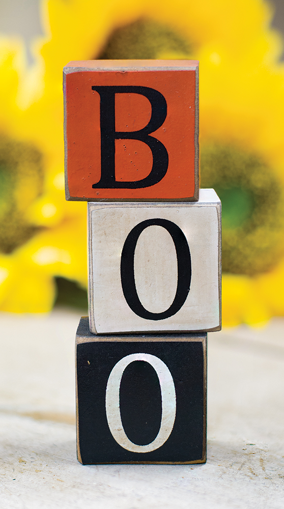 3/Set, "Boo" Letter Blocks #36618