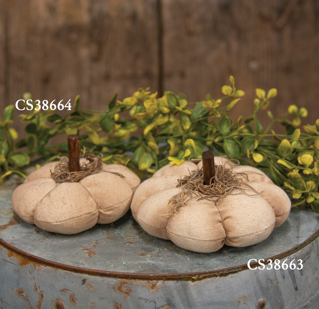 Mossy Natural Pumpkin 5" #CS38663