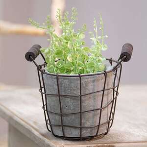 Classic Cement Planter with Rustic Wire Basket -