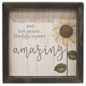 Life is Amazing Framed Sign;
