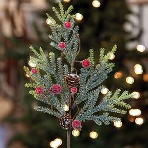Mountain Pine w/ Berries Pick -