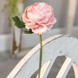 Peony Stem, Blush -