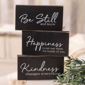 Kindness Changes Everything Wooden Block - 3 asst;
