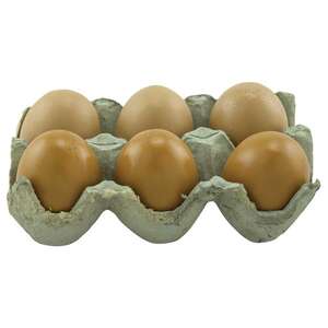 Brown Resin Egg - 2 Asstd.;