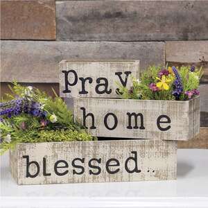 Pray Home Blessed Box Set #35144