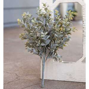 Pebble Eucalyptus Bush, 14"