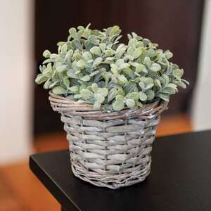 Gray Willow Basket #BB3A136XS