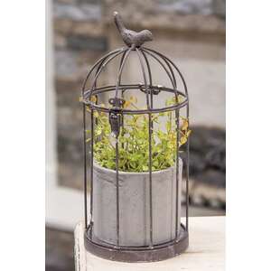Metal Birdcage with Cement Pot;