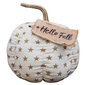 Hello Fall Star Pumpkin #CS37877