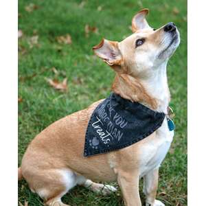 #54078  I Love You More Than Treats Dog Bandana