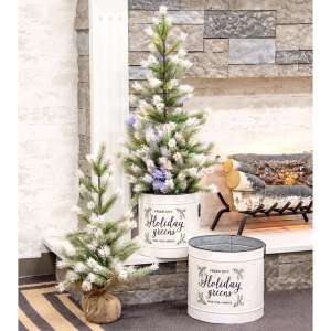 Frost Fade Pine Tree, 3 ft  FXP30553