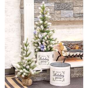 Frost Fade Pine Tree, 3 ft;