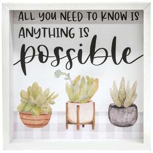 Anything Is Possible Framed Box Sign