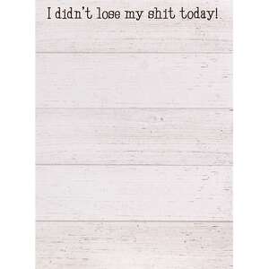 I Didn't Lose My Shit Today! Mini Notepad 55005;
