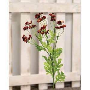 Chamomile Flower Spray, Red