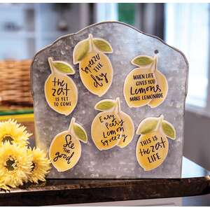 6/Set, Lemon Sayings Magnets #35972