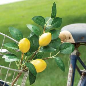 Fresh Picked Lemon Spray 18155