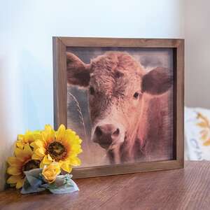 Cow Portrait Framed Print;
