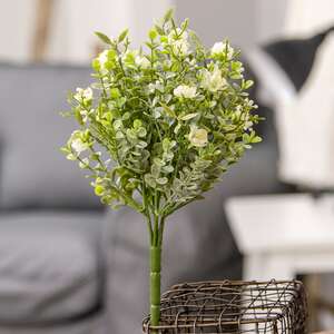 Eden's Gate Bush FFG3148;