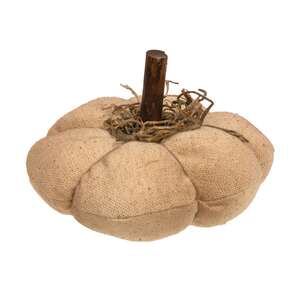 Mossy Natural Pumpkin 4.5"