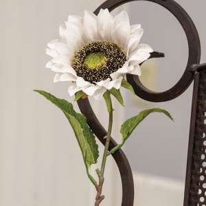 Blooming Sunflower Stem, White 18128
