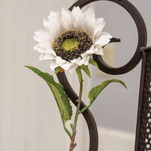 Blooming Sunflower Stem, White;