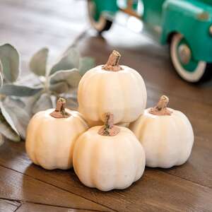 Mossy Top Cream Pumpkins, 5/Set 18219