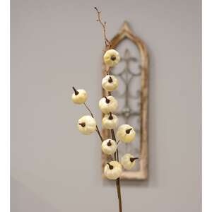 Cream Pumpkins Spray 18221;