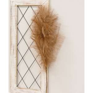 Weeping Pampas Grass Branch, Brown 18224;