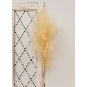 Weeping Pampas Grass Branch, Cream 18225;