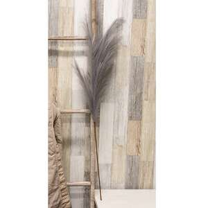 Weeping Pampas Grass Branch, Gray 18277;