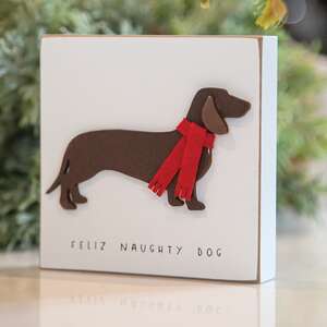 Feliz Naughty Dog Block 36601;