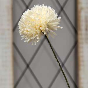Cream Pompom Spray 18160;