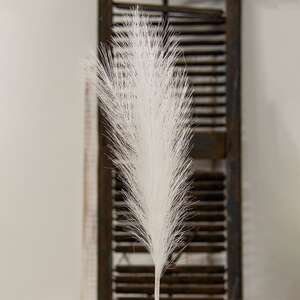 Pampas Grass Pick, 28", White 18218;