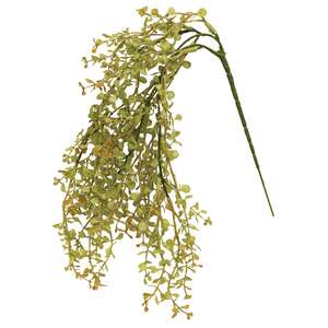 Hanging Baby Grass;