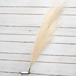 Pampas Grass Spray, 45", Cream  18214