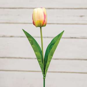 Champagne Tulip Stem, 17.5" 18299