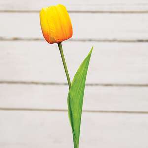 Sunrise Tulip Stem, 15.5" 18303