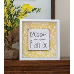 Bloom Where You're Planted Shadowbox Sign 36972
