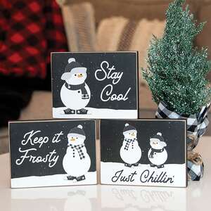 Stay Cool Snowman Block, 3 Asstd. 37240;