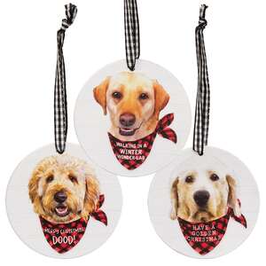 Winter Wonder-Lab Round Ornament, 3 Asstd. #37414