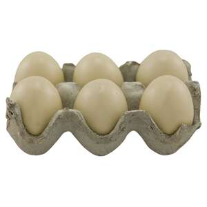 Resin Egg - White;