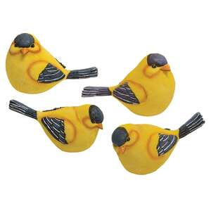 Gold Finch - 4 asst.
