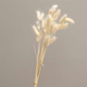 Wispy Dried Rabbit Tail Grass Bundle, White 18364