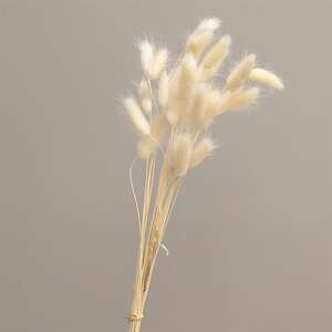 Wispy Dried Rabbit Tail Grass Bundle, White 18364;