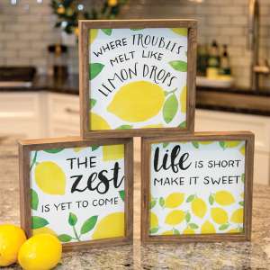 The Zest Is Yet To Come Framed Box Sign, 3 Asstd. #35767