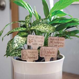 You're Stuck With Me House Plant Poke, 4 Asstd. 37585;