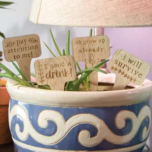Pay Attention to Me House Plant Poke, 4 Asstd. 37750;