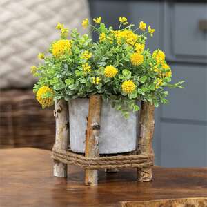 Small Cement Planter in Birch Frame QX19312;