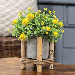 Mini Cement Planter in Birch Frame QX19313;